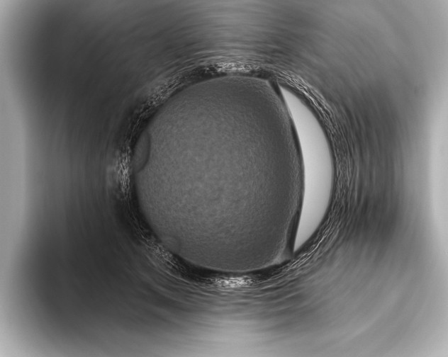 X0000093400513200710260920