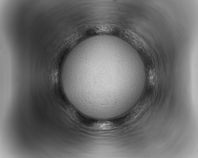 X0000093400514200710260920