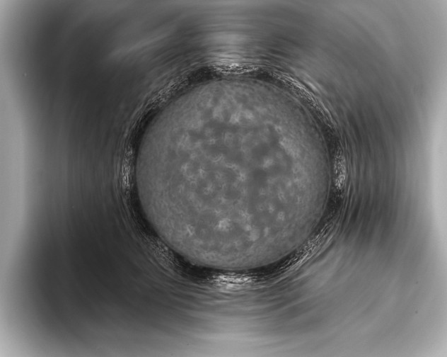 X0000093400515200710260920