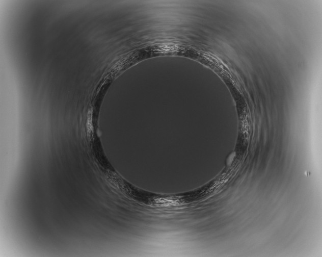 X0000093400516200710260920