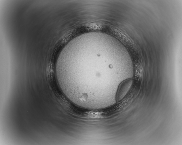 X0000093400518200710260920