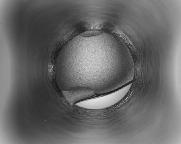 X0000093400521200710260920