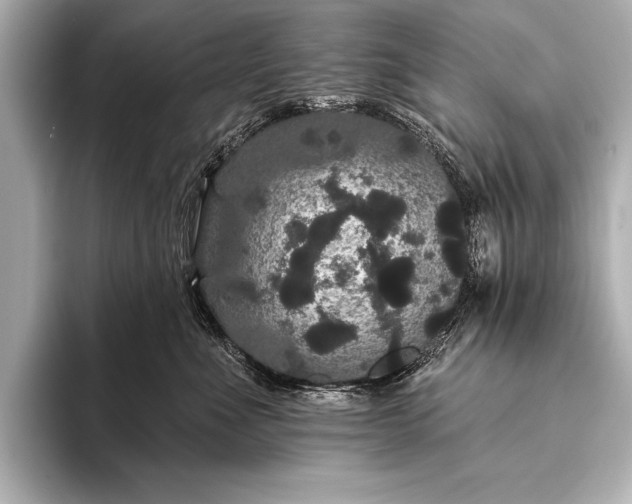 X0000093400523200710260920