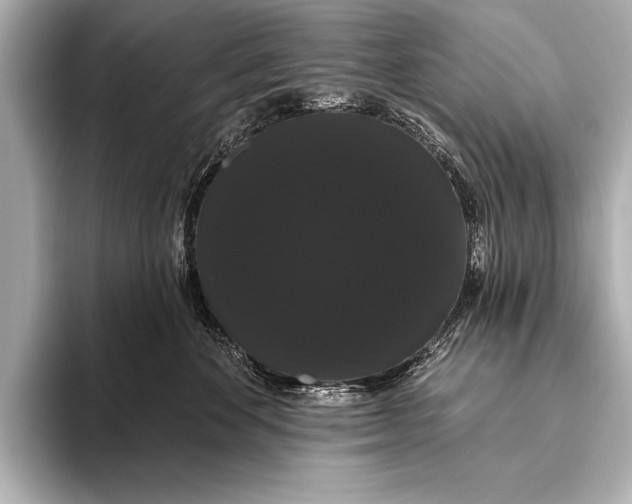 X0000093400524200710260920