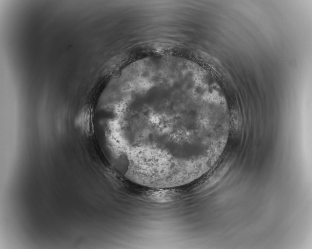 X0000093400527200710260920