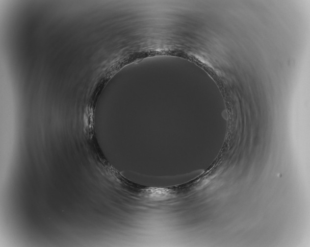 X0000093400528200710260920