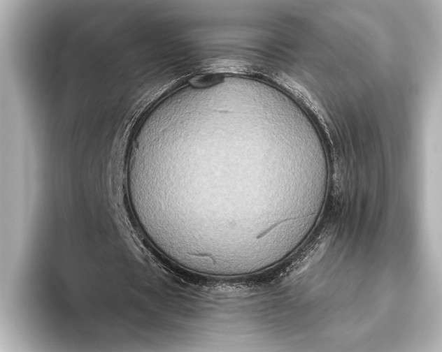 X0000093400529200710260919