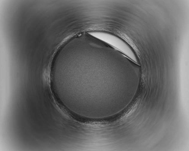 X0000093400530200710260919