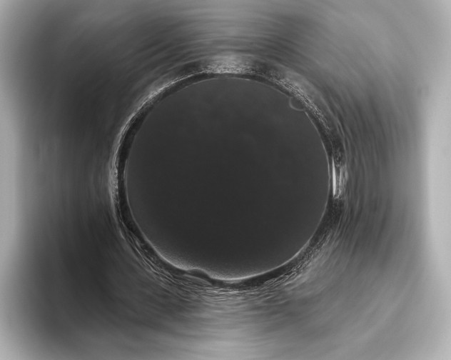 X0000093400531200710260919