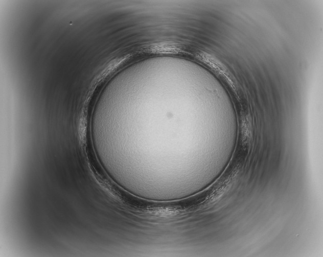 X0000093400533200710260919