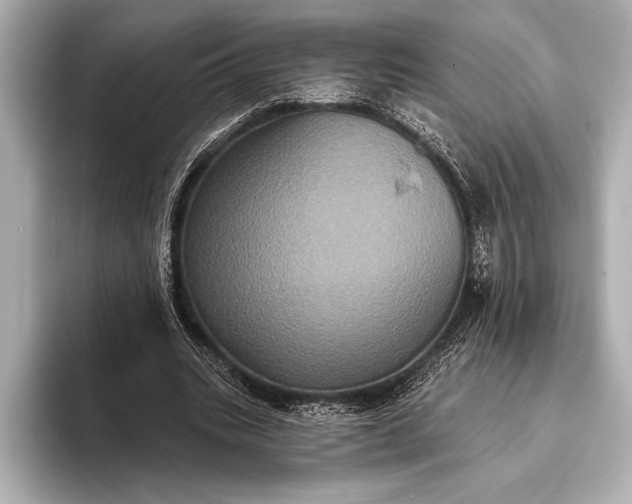 X0000093400535200710260919