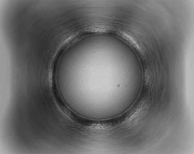 X0000093400538200710260919