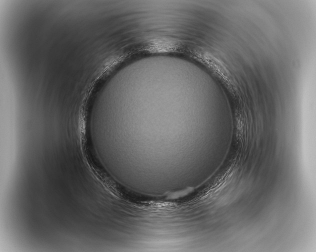 X0000093400539200710260919