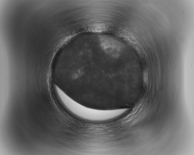 X0000093400540200710260919