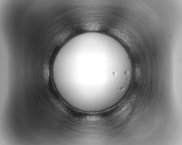 X0000093400541200710260919