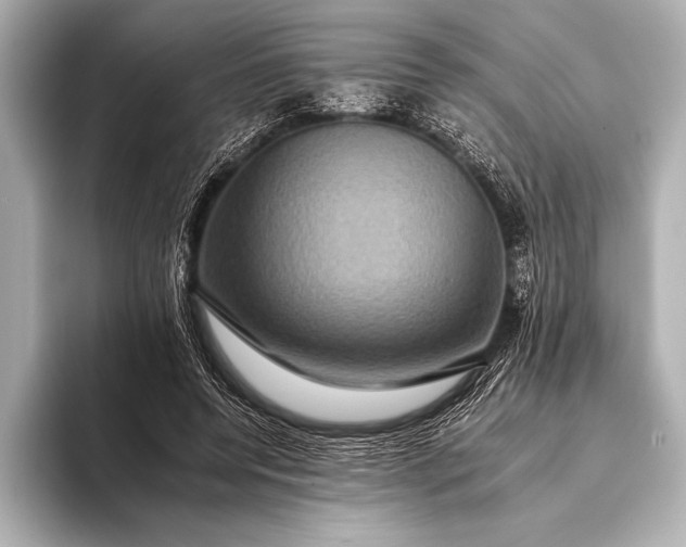 X0000093400544200710260919