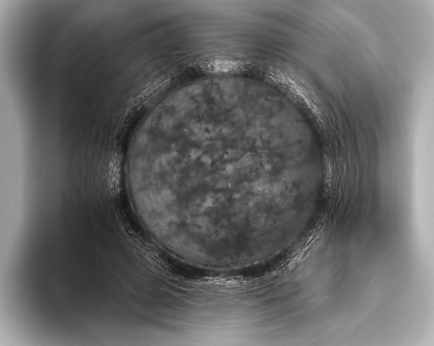 X0000093400545200710260919