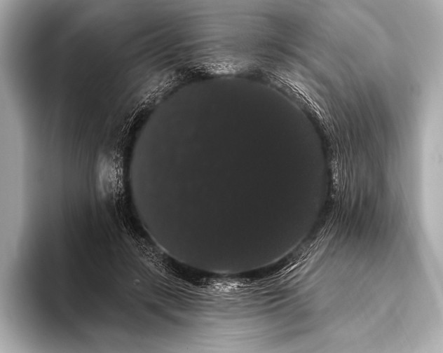 X0000093400547200710260919