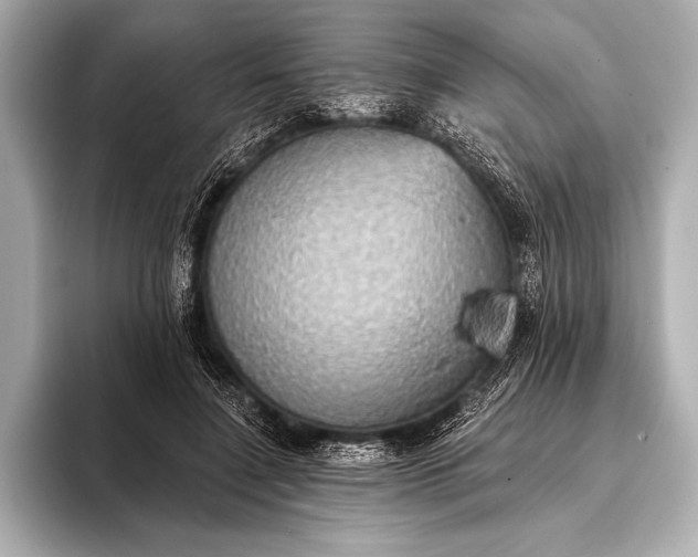 X0000093400548200710260919