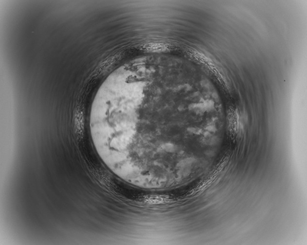 X0000093400549200710260919