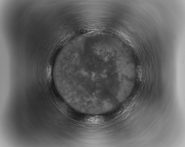 X0000093400550200710260919