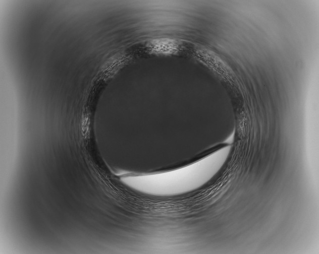 X0000093400551200710260919