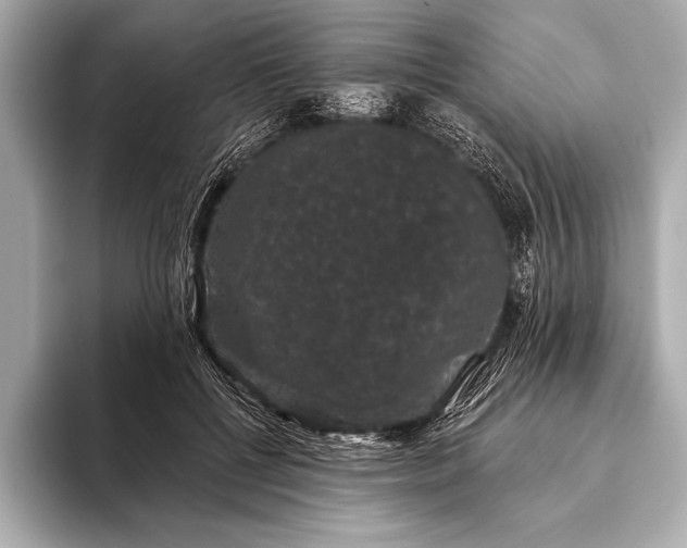 X0000093400552200710260919