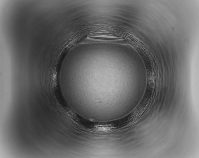 X0000093400556200710260919