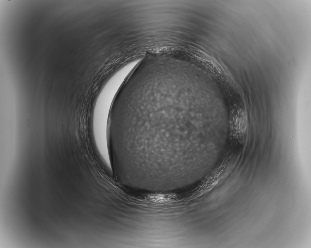 X0000093400558200710260919