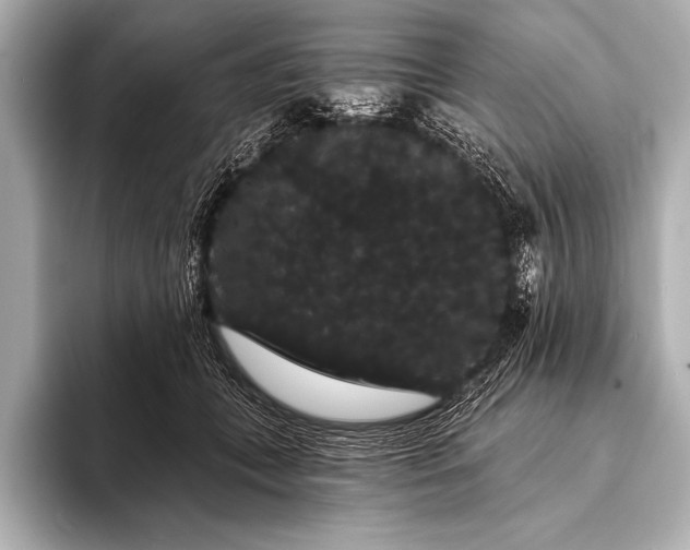 X0000093400559200710260919