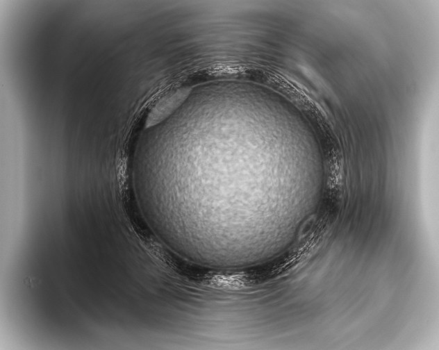 X0000093400560200710260919