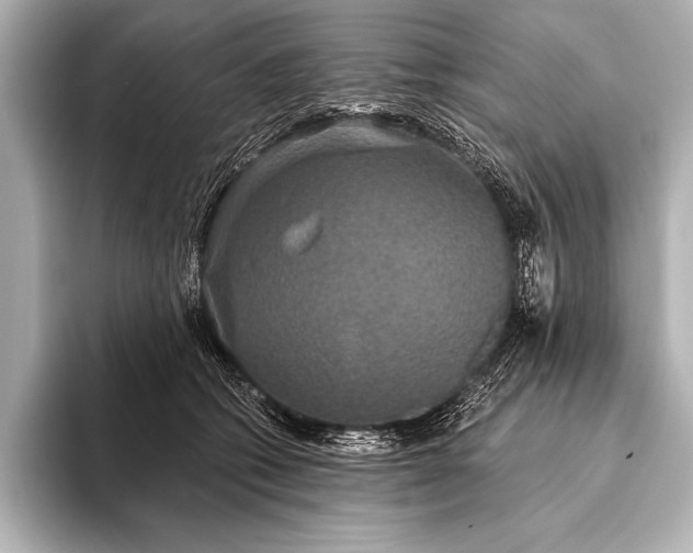 X0000093400562200710260919