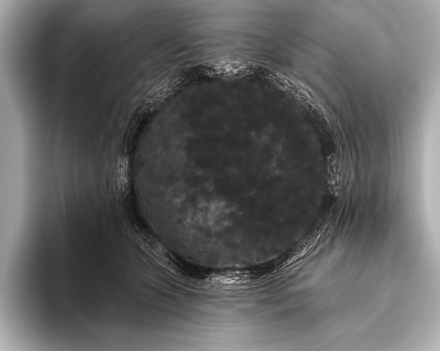 X0000093400563200710260919