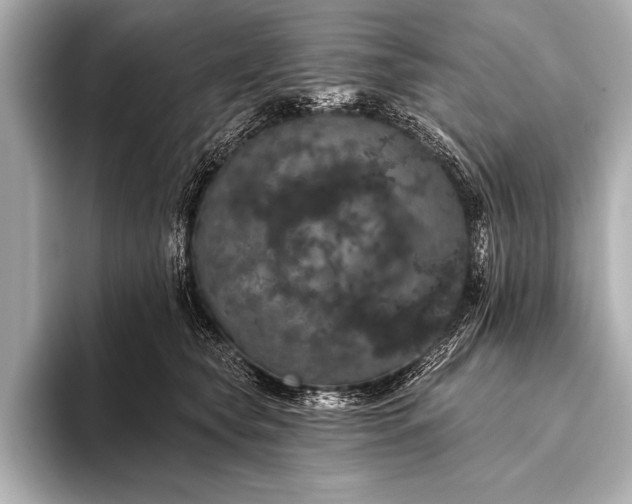 X0000093400565200710260919