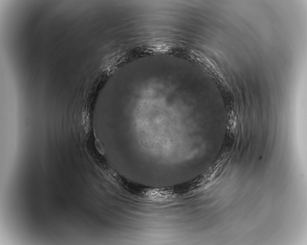 X0000093400568200710260919