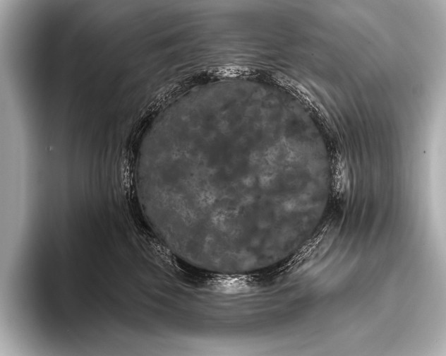 X0000093400569200710260920