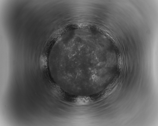 X0000093400571200710260920