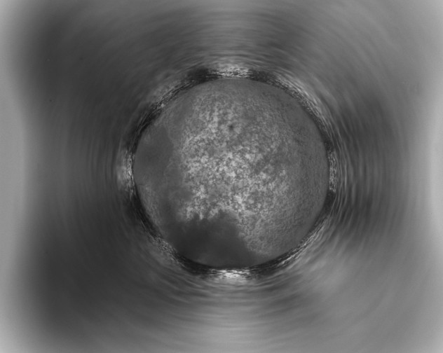 X0000093400573200710260920