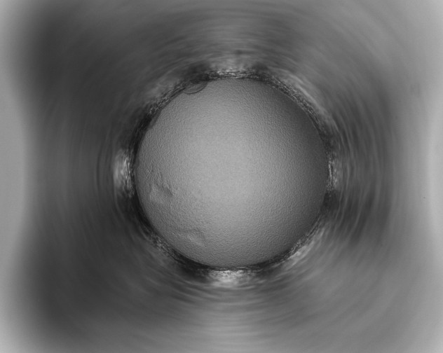 X0000093400575200710260920