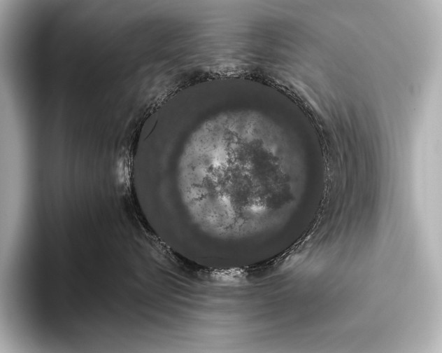 X0000093400576200710260920