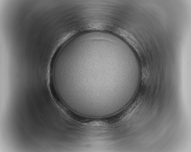 X0000093400578200710260919