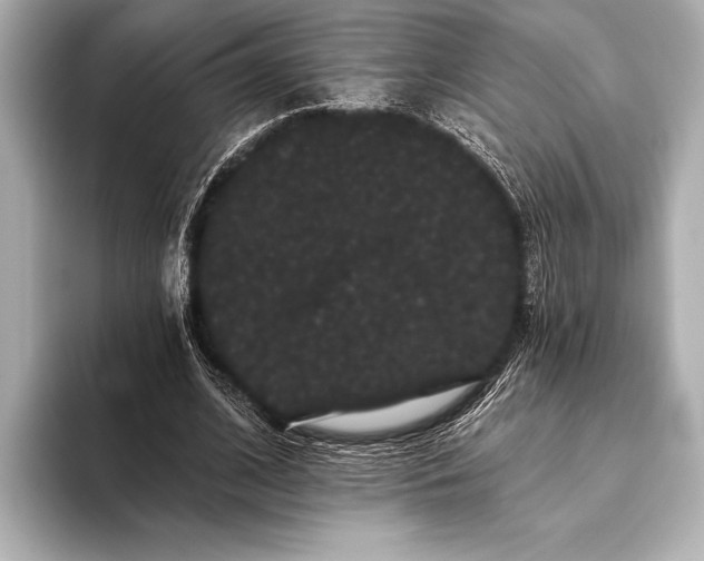 X0000093400584200710260919