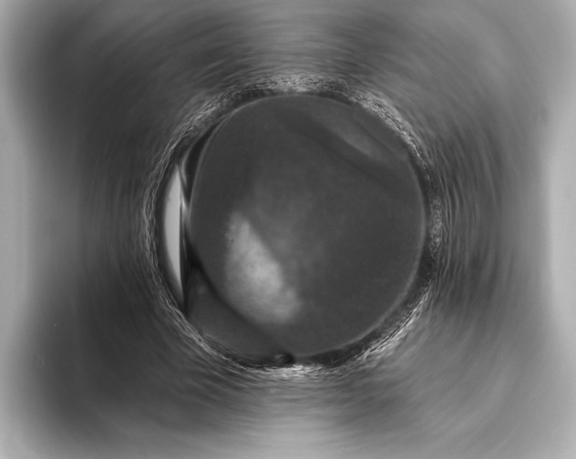 X0000093400585200710260919