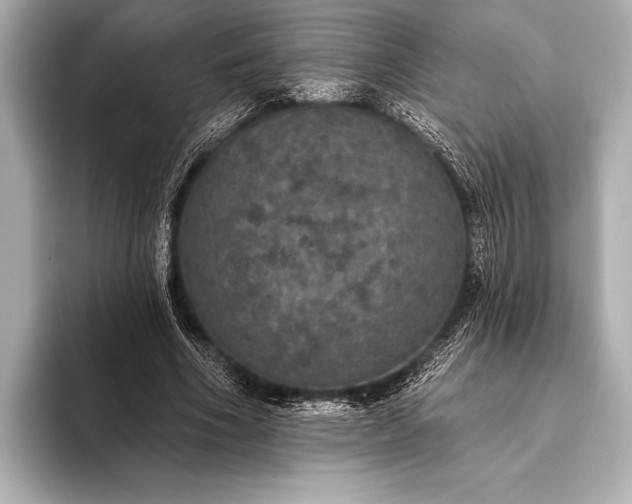 X0000093400586200710260919