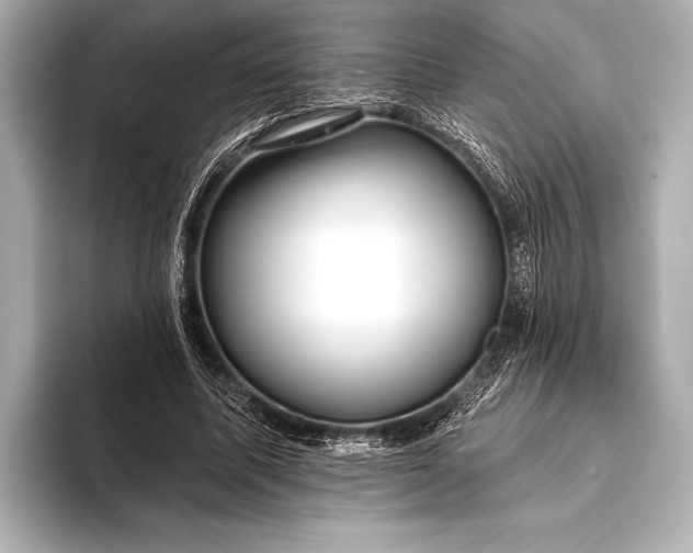 X0000093400587200710260919