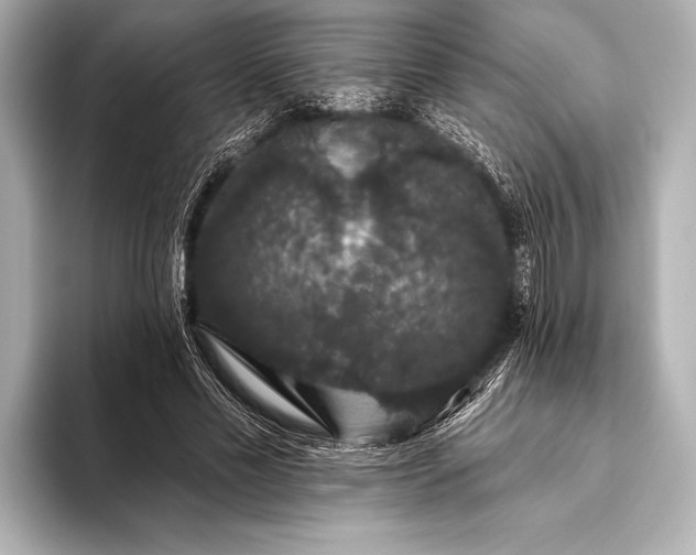 X0000093400589200710260919