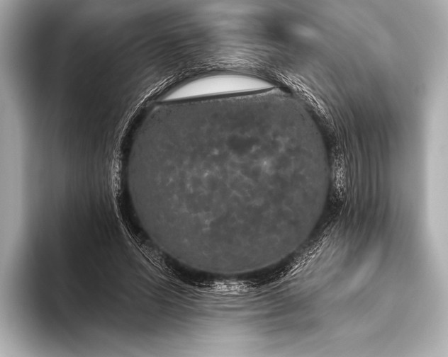 X0000093400591200710260919