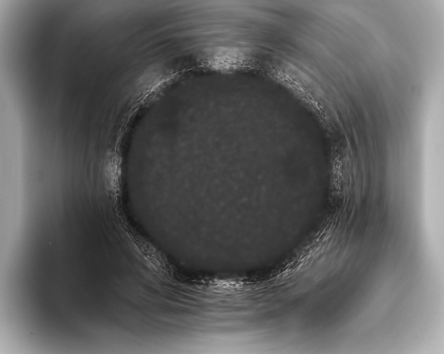 X0000093400592200710260919