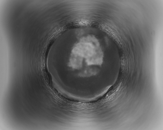 X0000093400593200710260919