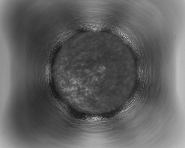 X0000093400594200710260919